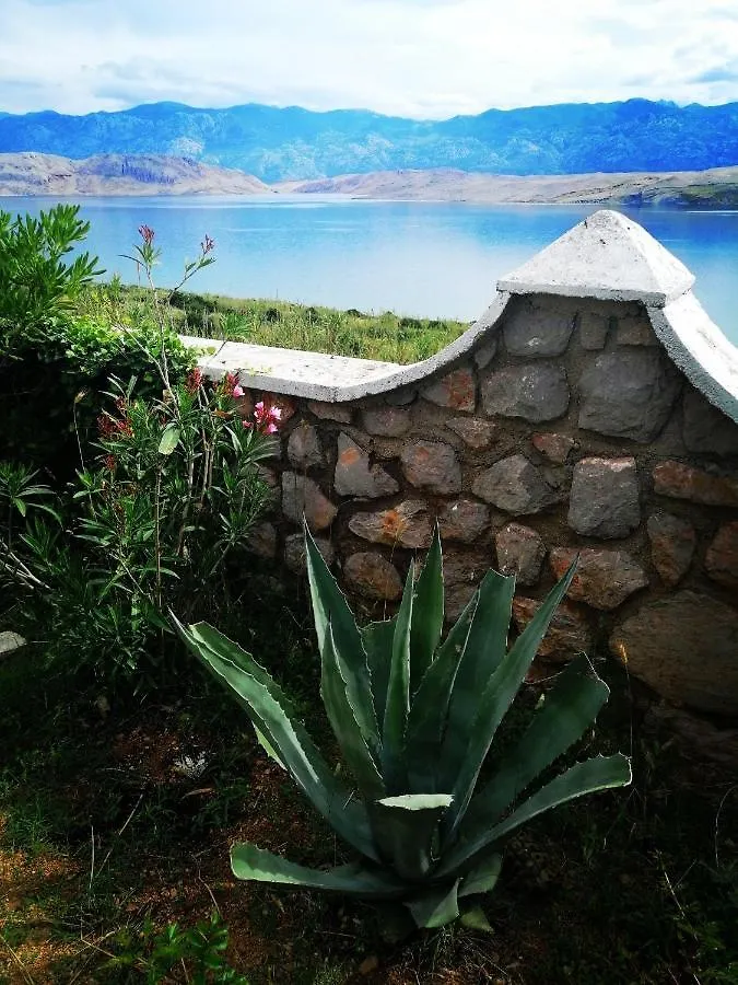 Apartments K&M Pag Island Croatia